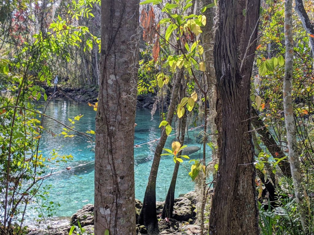 Three Sisters Springs