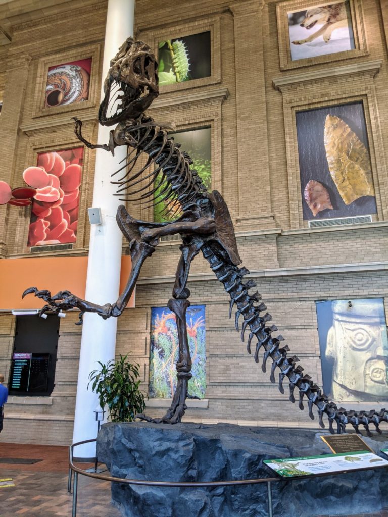 Denver Museum of Nature & Science