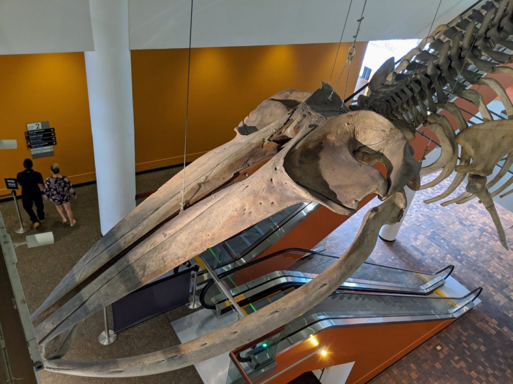 Denver Museum of Nature & Science