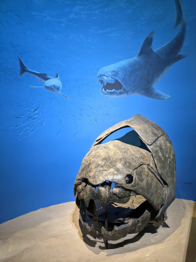 Denver Museum of Nature & Science