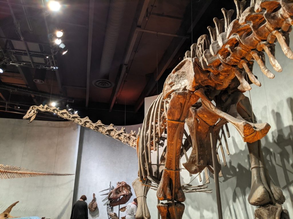 Denver Museum of Nature & Science