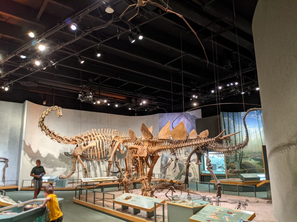 Denver Museum of Nature & Science