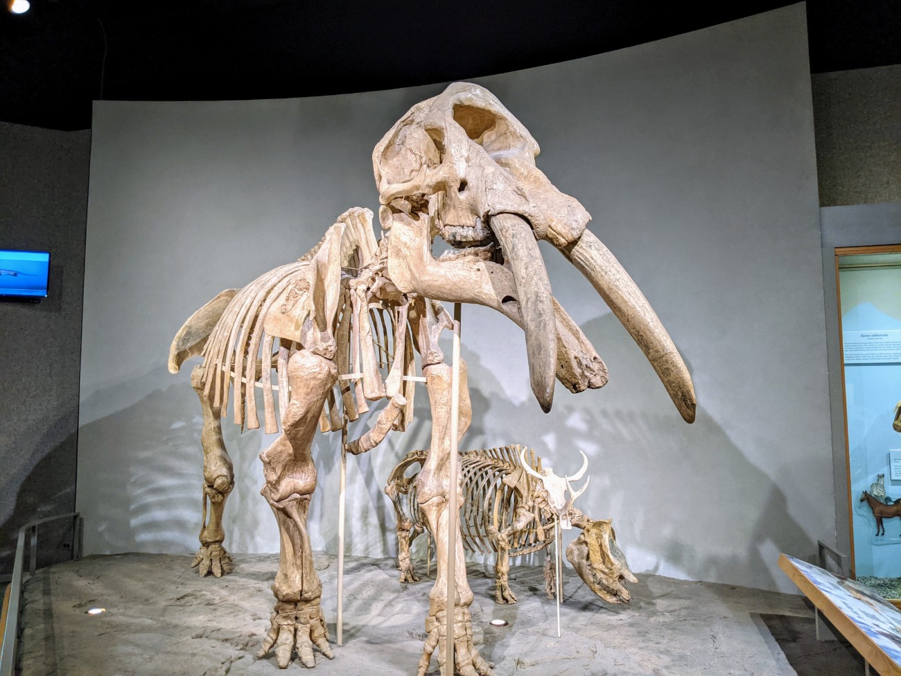 Denver Museum Of Nature & Science - Roadtrips & Rollercoasters