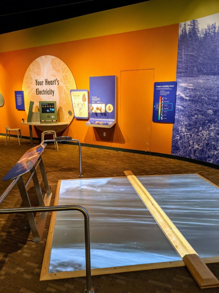 Denver Museum of Nature & Science