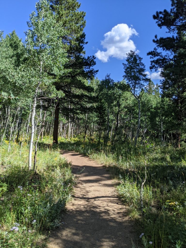 Mud Lake Open Area