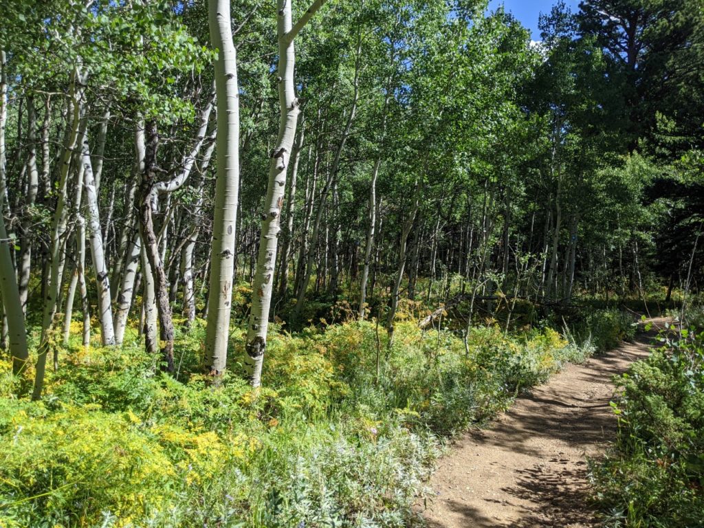 Mud Lake Open Area