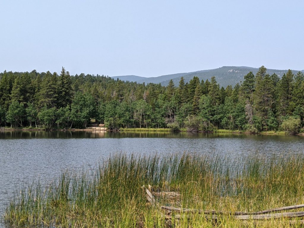 Mud Lake Open Area