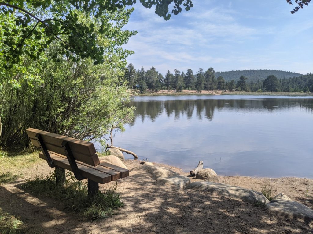 Mud Lake Open Area