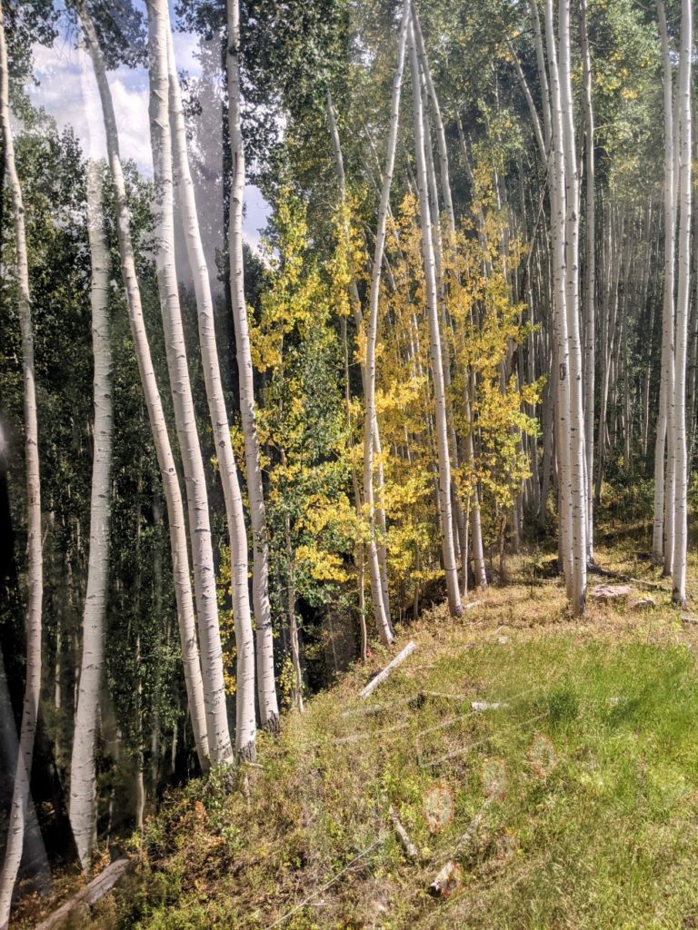 mountain coasters in Colorado