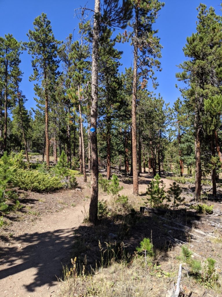 Mud Lake Open Area