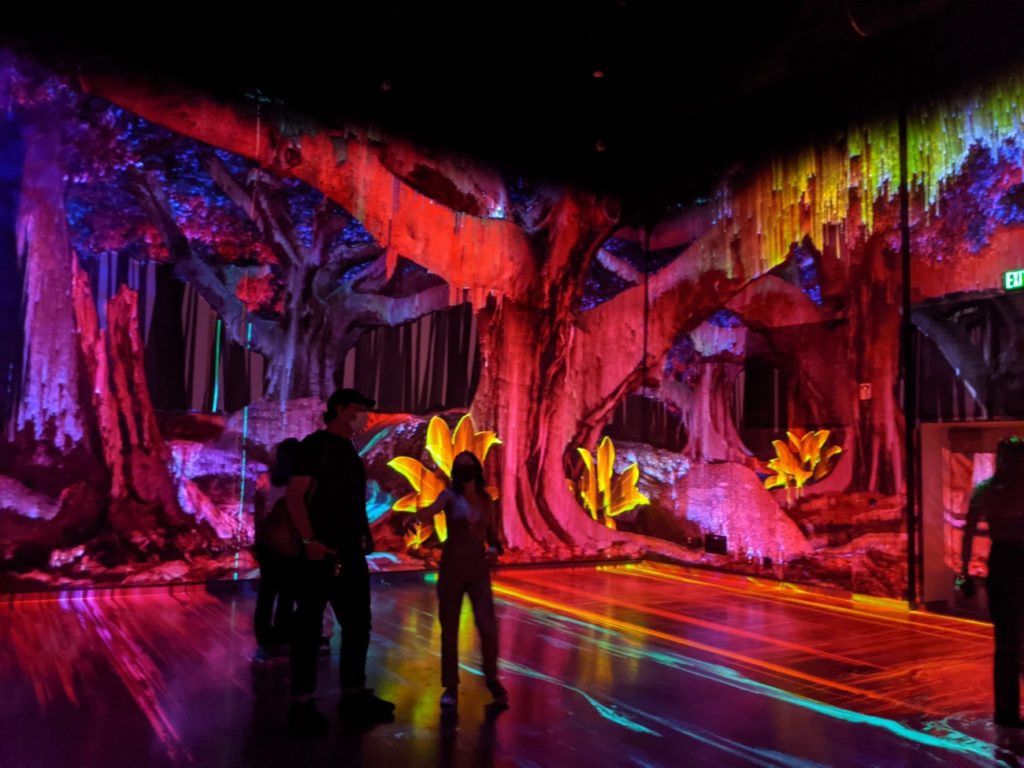 Meow Wolf Denver