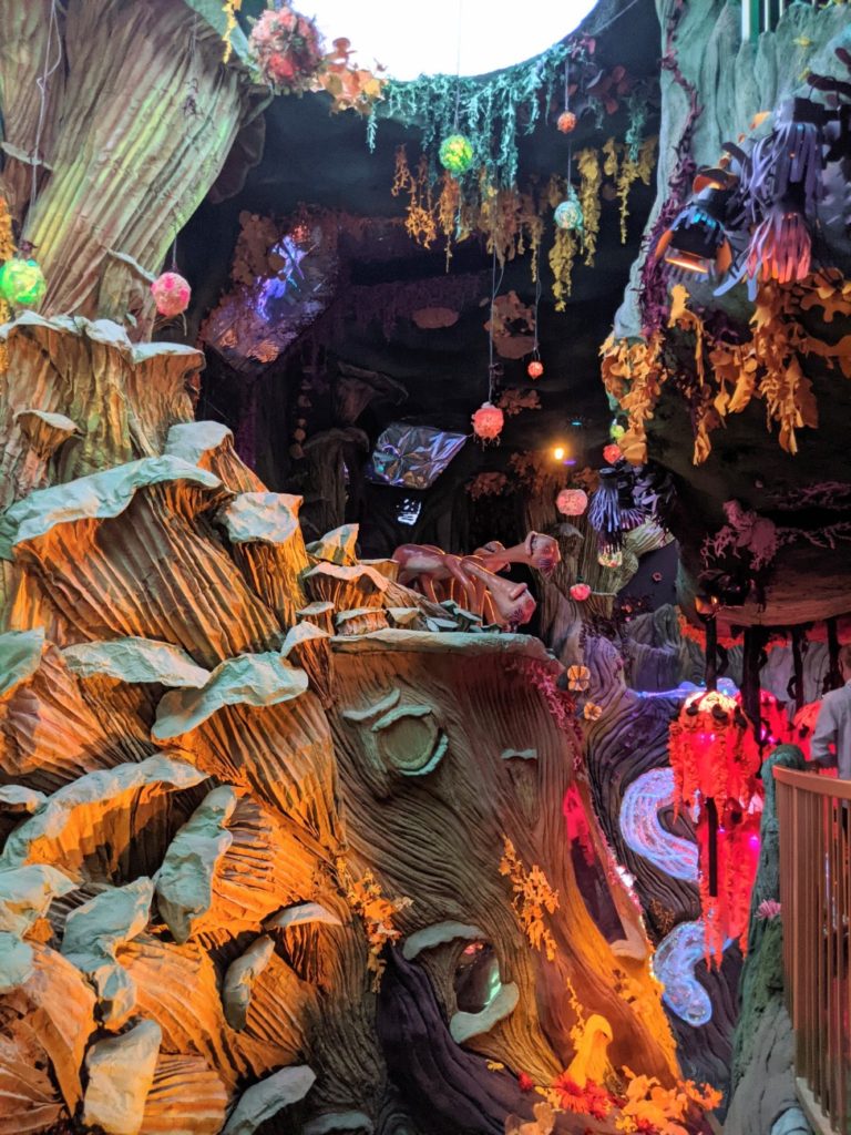 Meow Wolf Denver