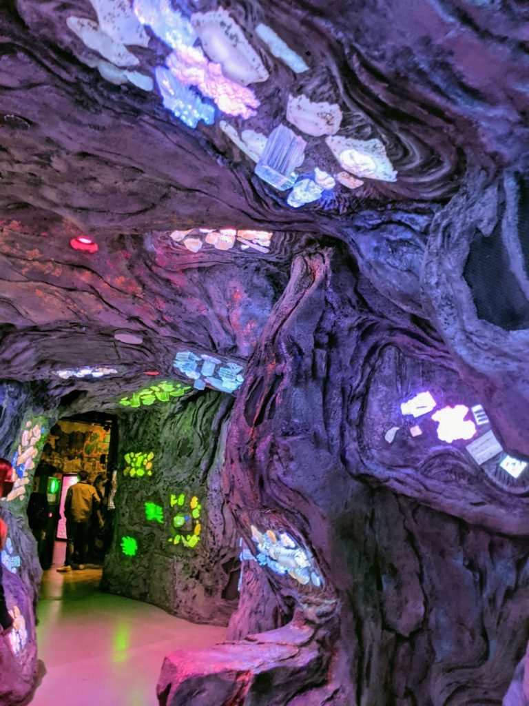 Meow Wolf Denver