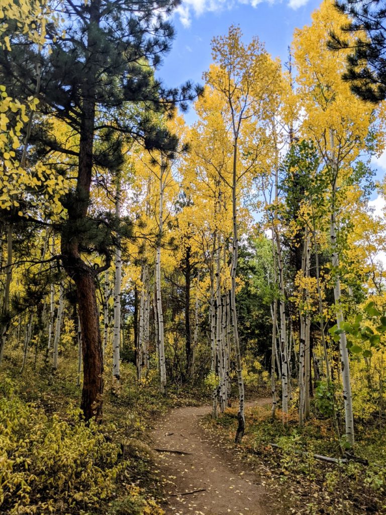 Mud Lake Open Area