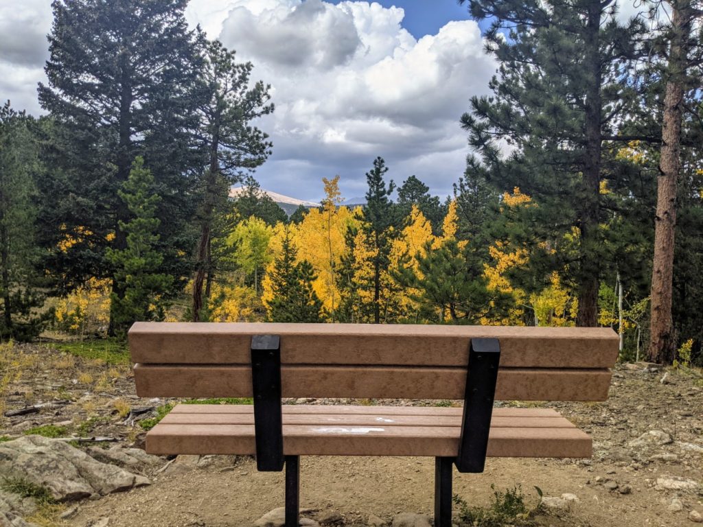 Mud Lake Open Area