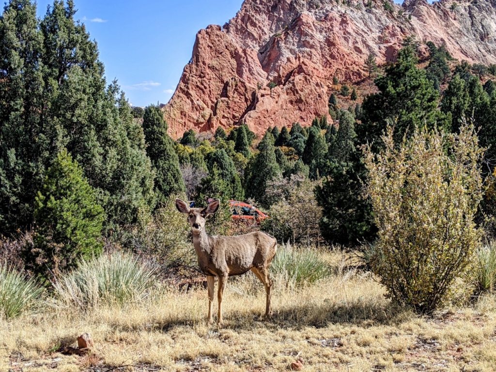 Garden of the Gods