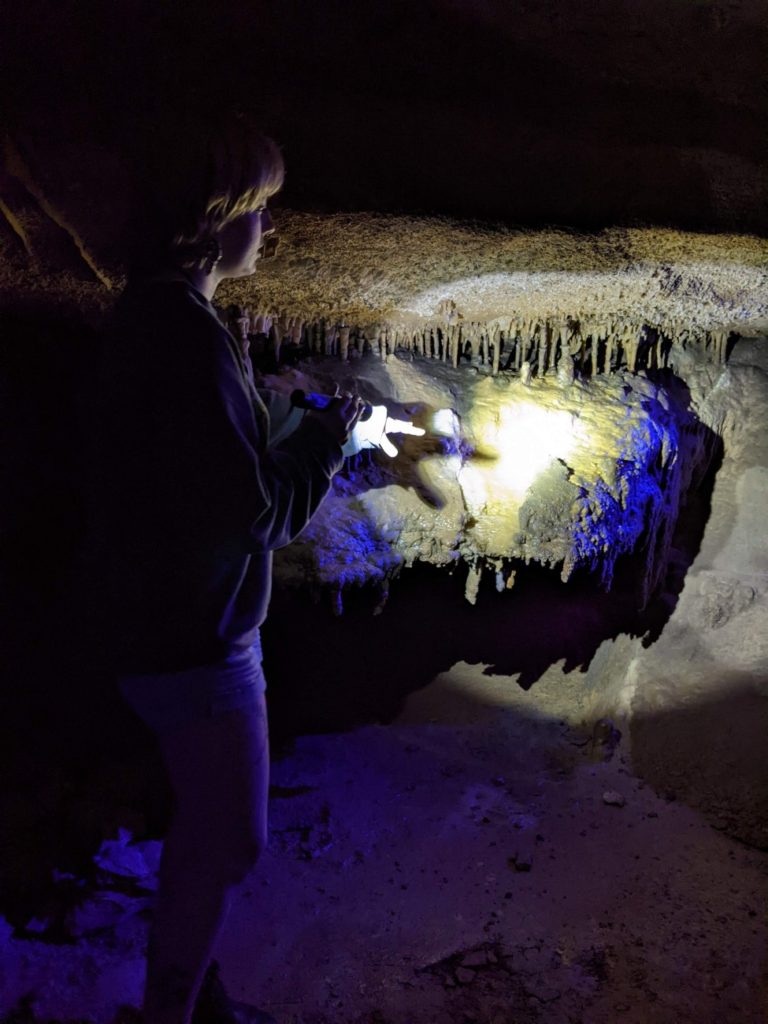 Raccoon Mountain Caverns