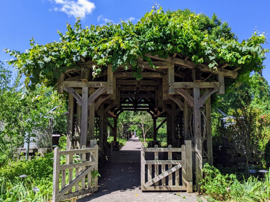 NC Arboretum