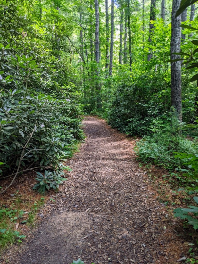 NC Arboretum