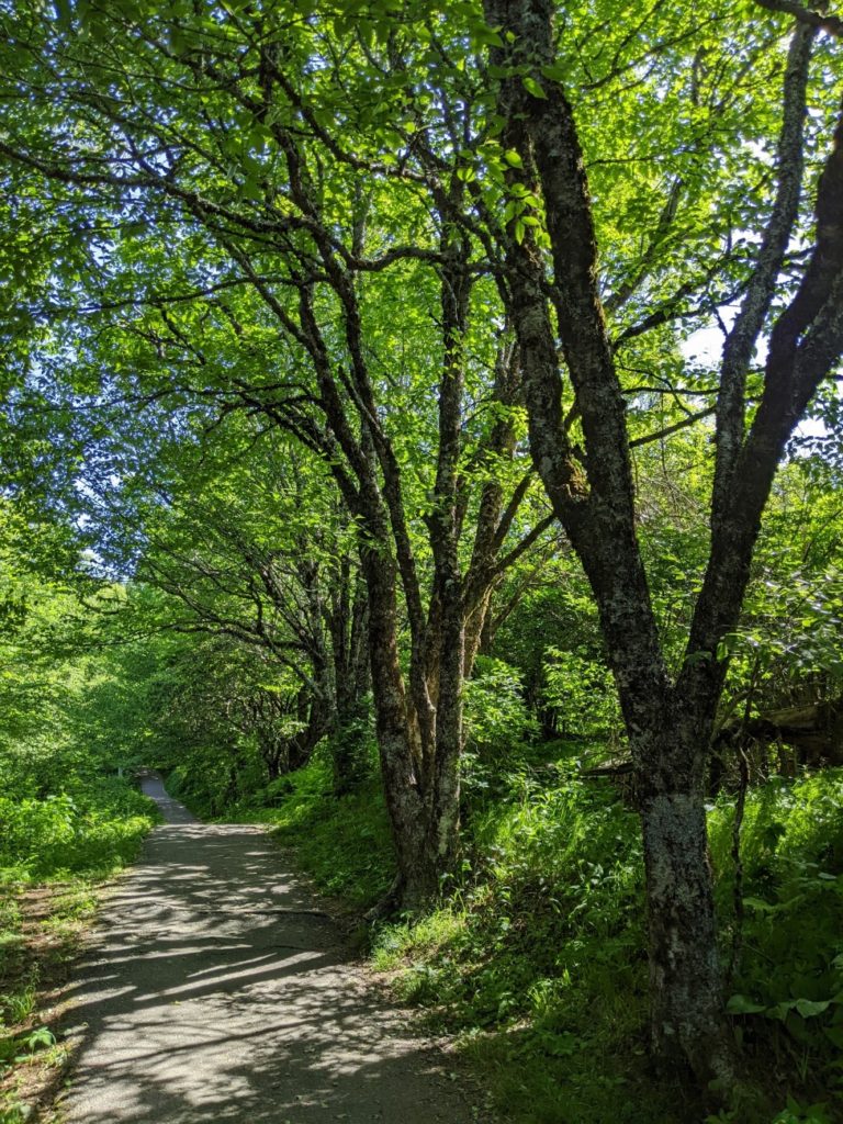 Blue Ridge Parkway