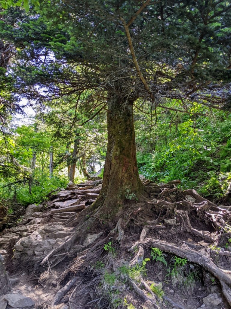 Blue Ridge Parkway