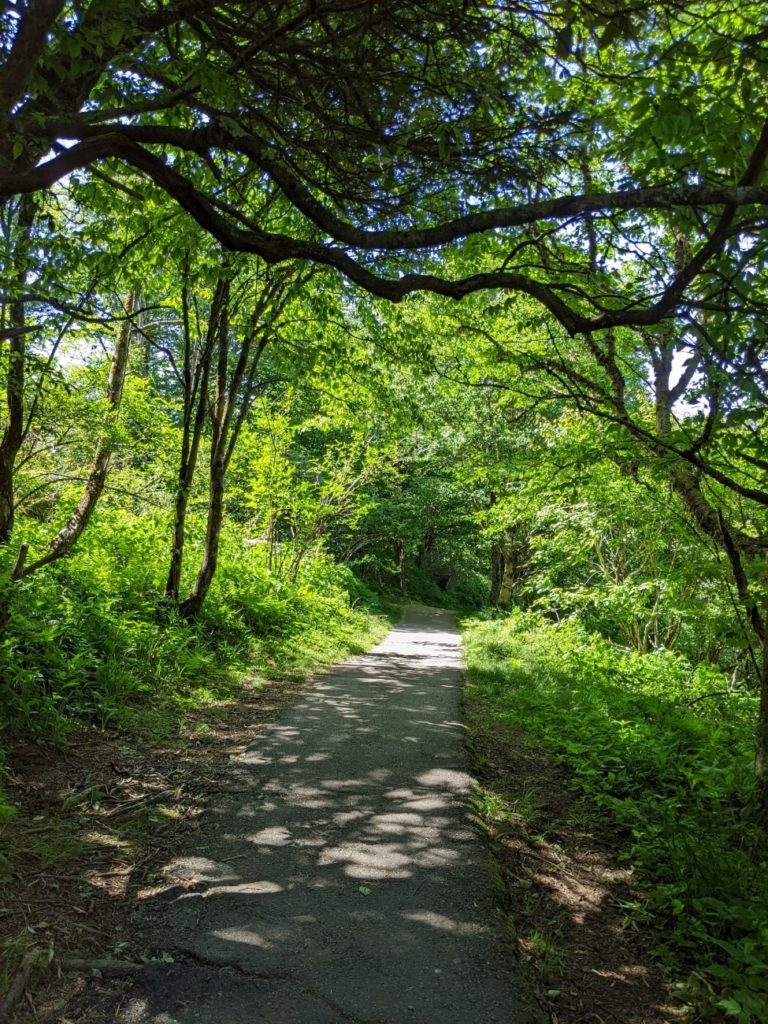 Blue Ridge Parkway