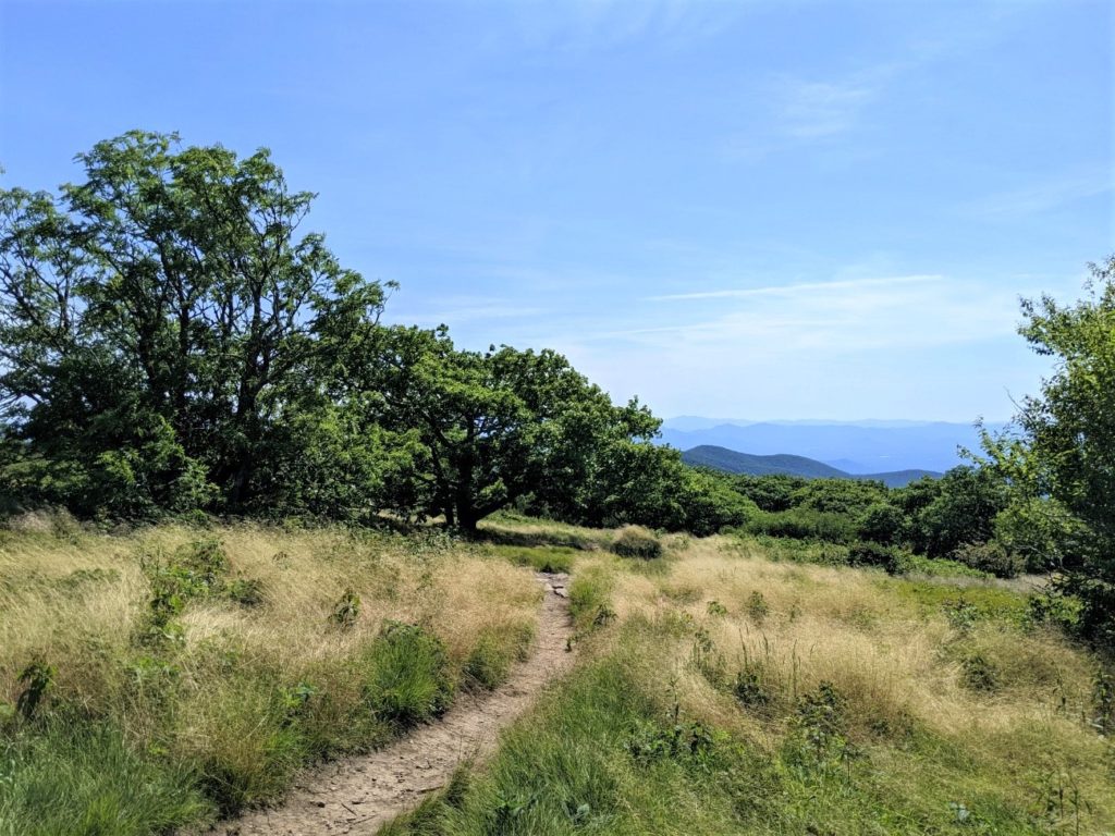 Craggy Gardens