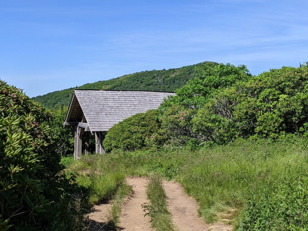 Craggy Gardens