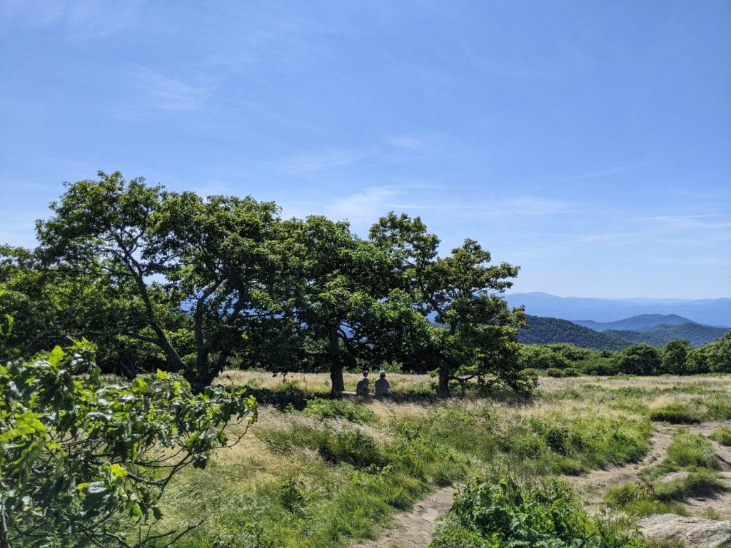 Craggy Gardens