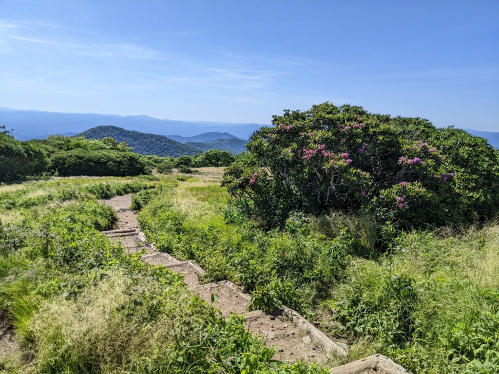 Craggy Gardens