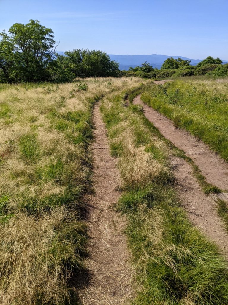 Craggy Gardens