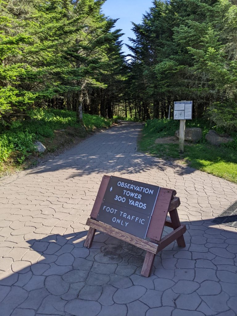 Mount Mitchell State Park