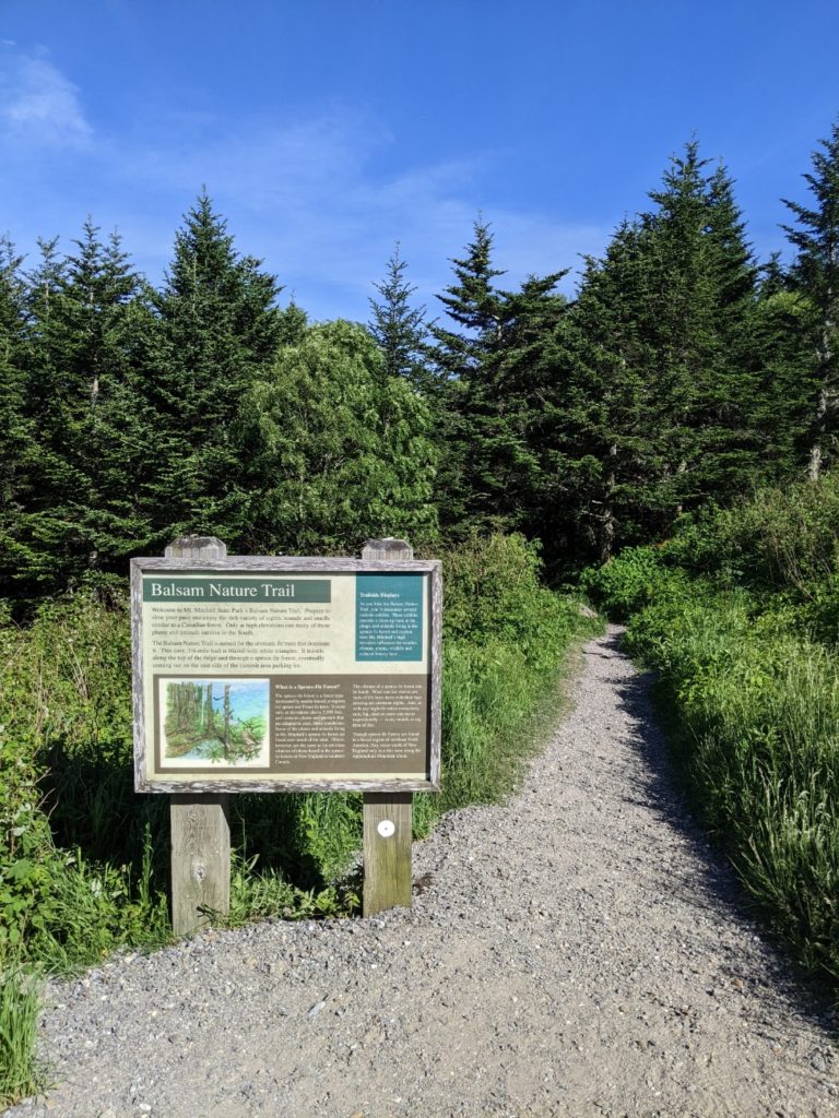 Mount Mitchell State Park