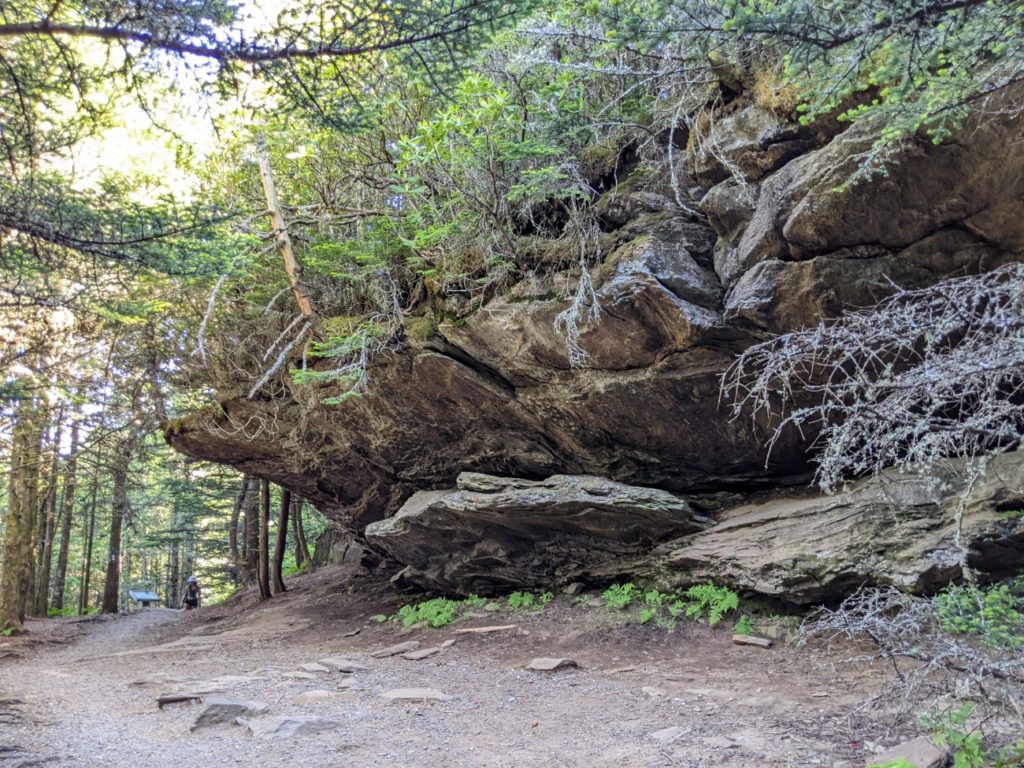 Mount Mitchell State Park