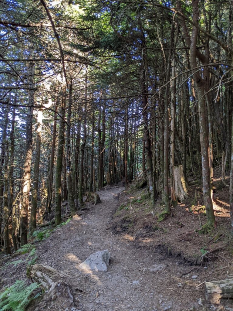 Mount Mitchell State Park