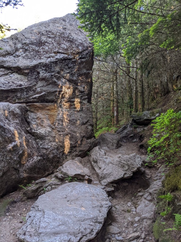 Mount Mitchell State Park