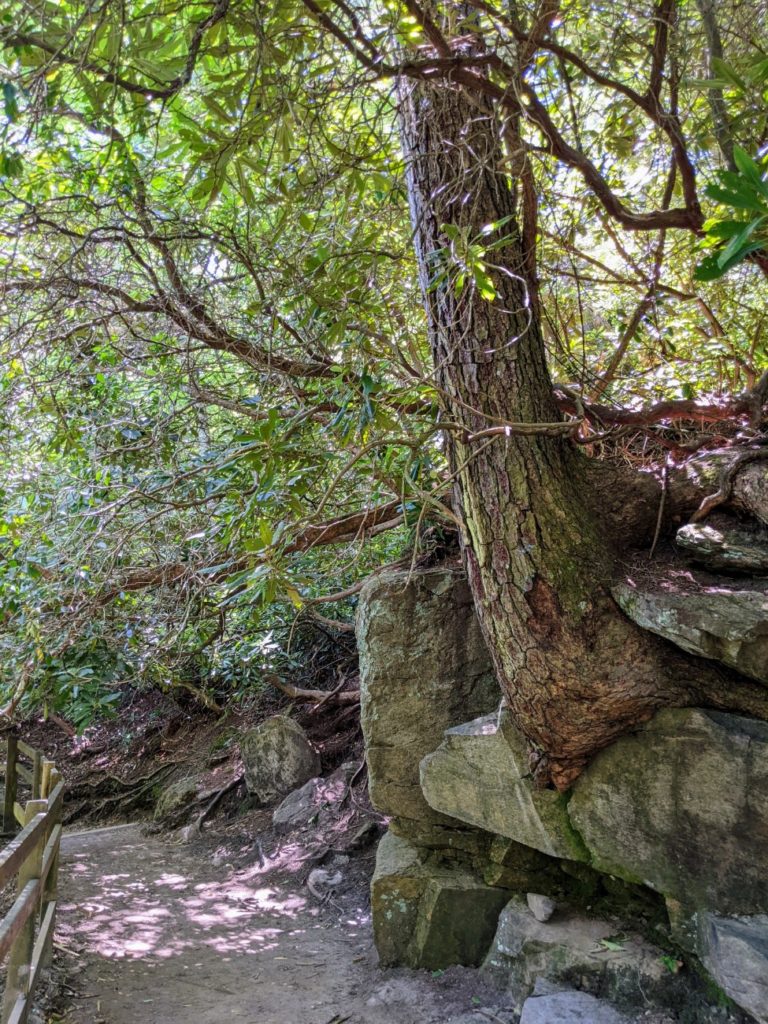 Blue Ridge Parkway