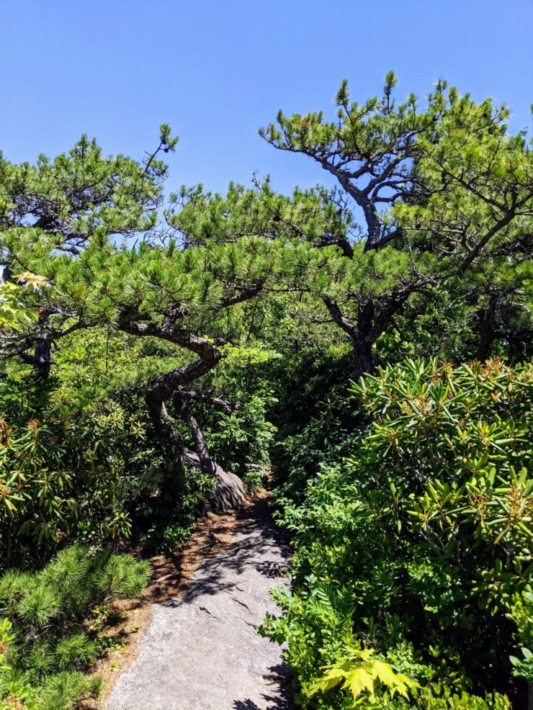 Blue Ridge Parkway