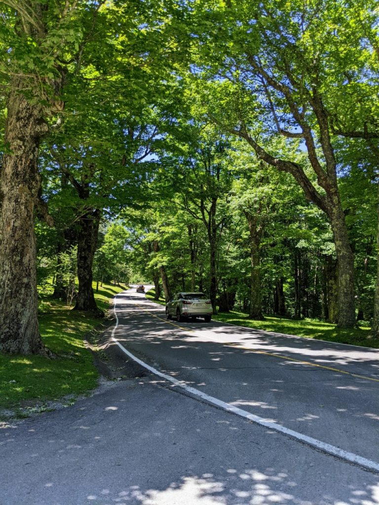 Grandfather Mountain