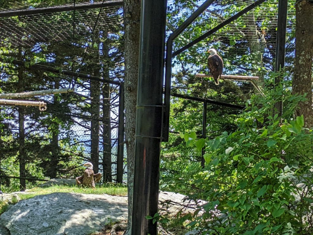 Grandfather Mountain