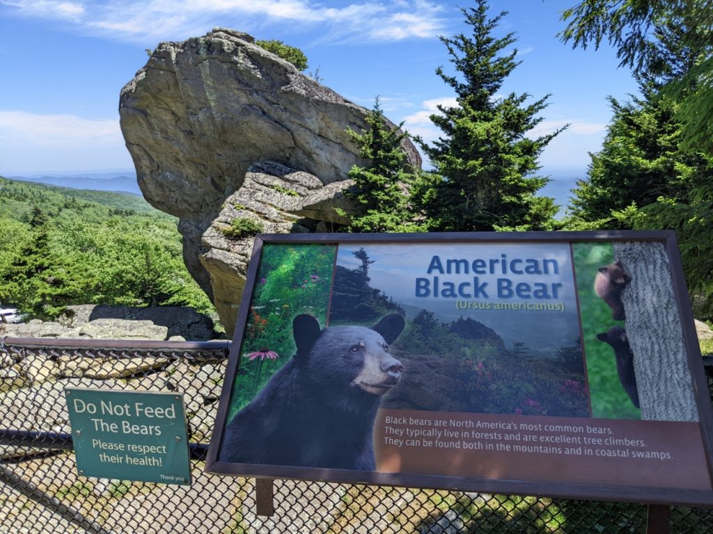 Grandfather Mountain