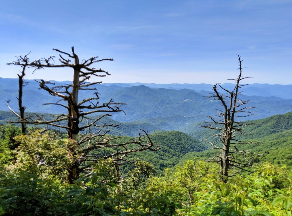 Blue Ridge Parkway