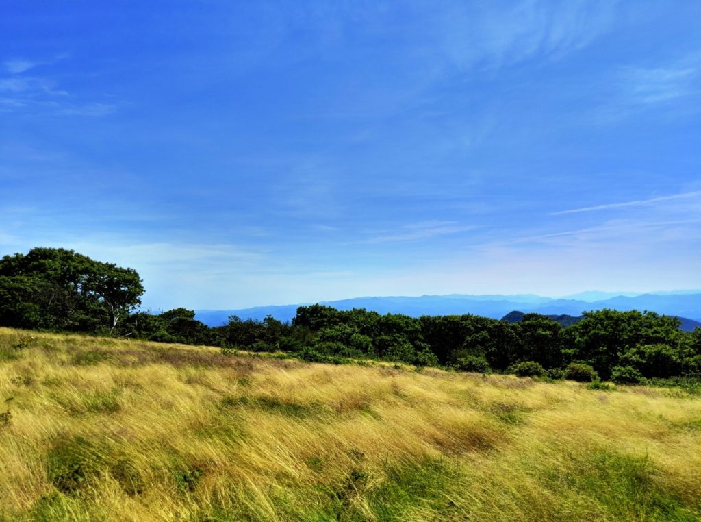 Craggy Gardens