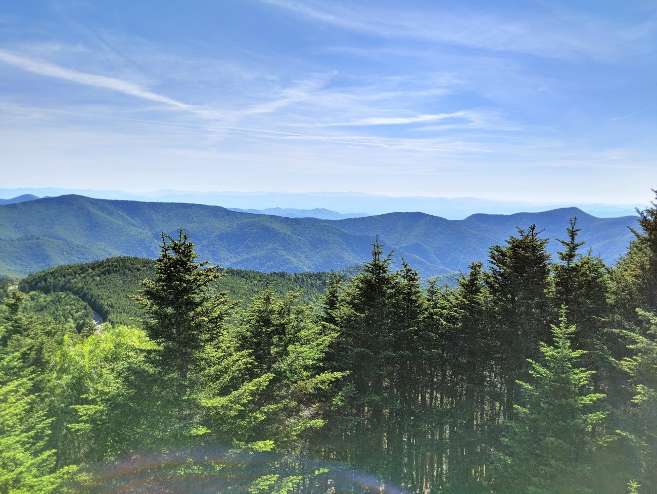 Mount Mitchell State Park