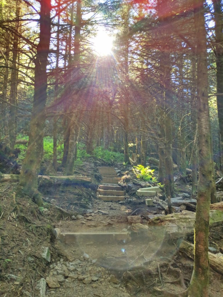 Mount Mitchell State Park