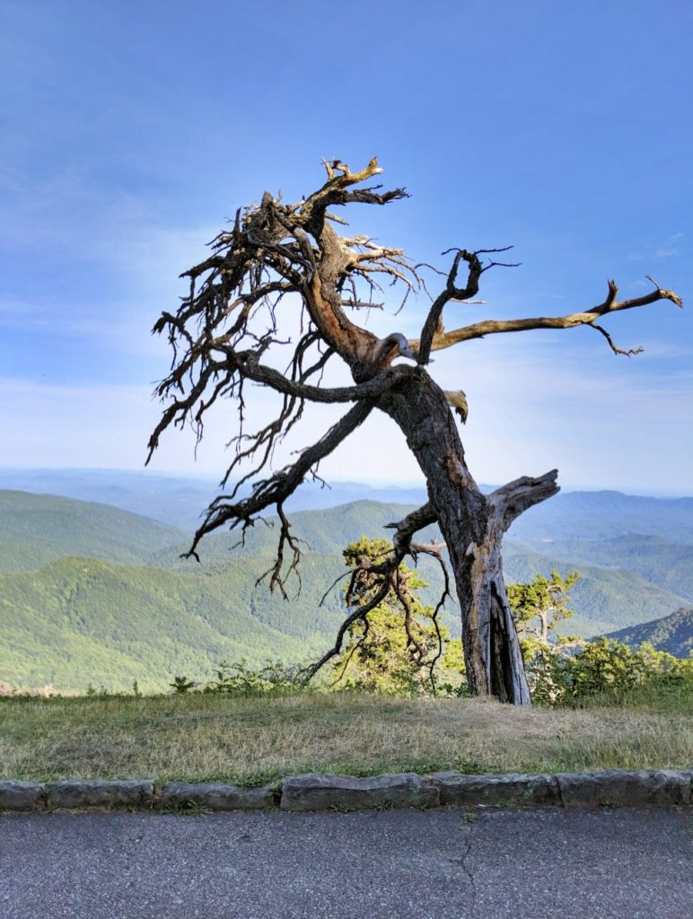 Blue Ridge Parkway