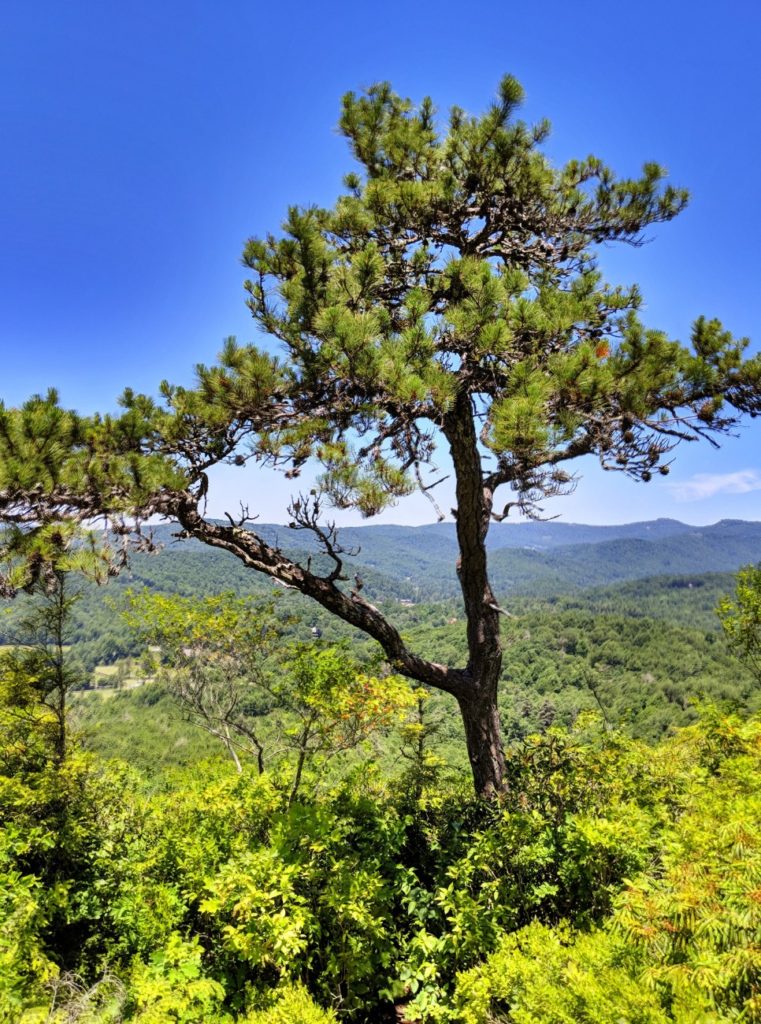 Blue Ridge Parkway