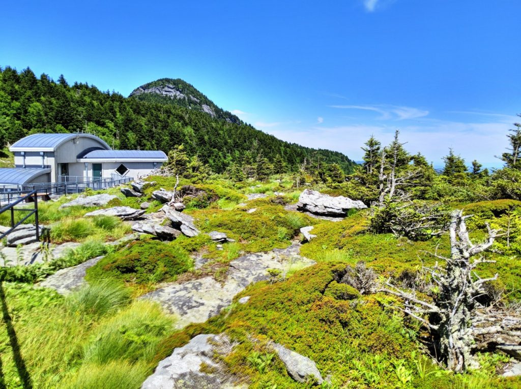 Grandfather Mountain