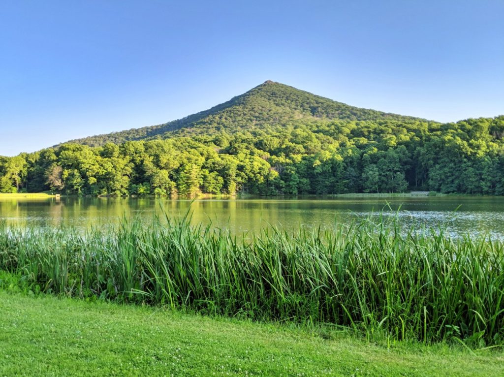 Peaks of Otter Lodge