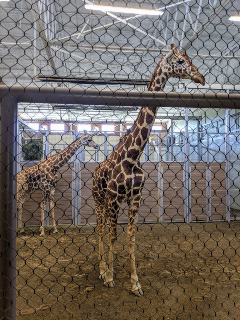 Chattanooga Zoo